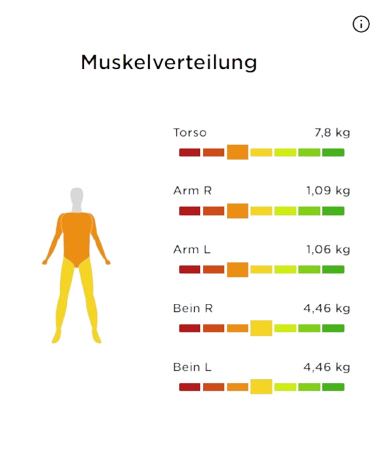 bodyscan 6